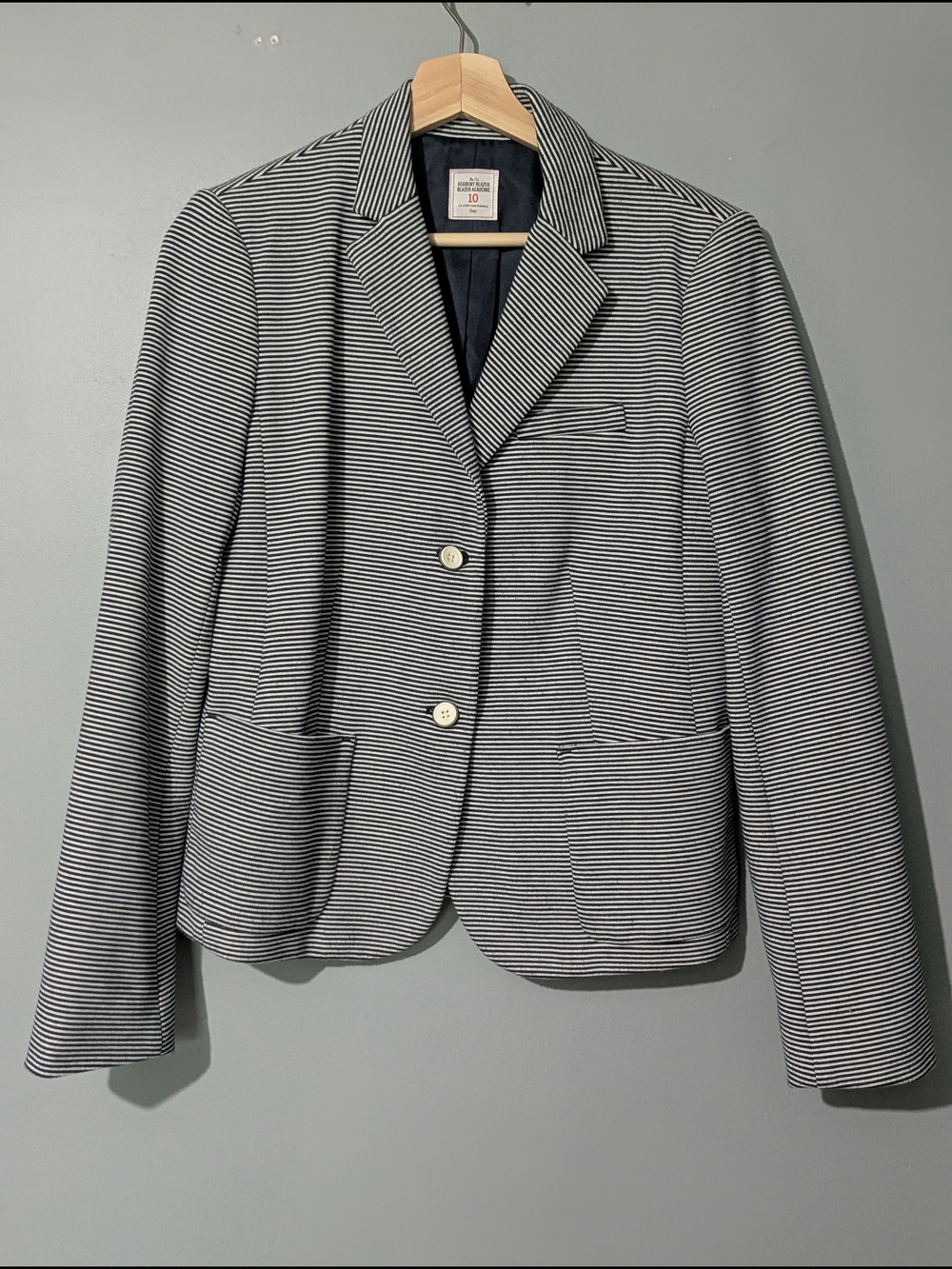 Gap The Academy Women's Navy Pin Striped Two-button Blazer Dark Academia
